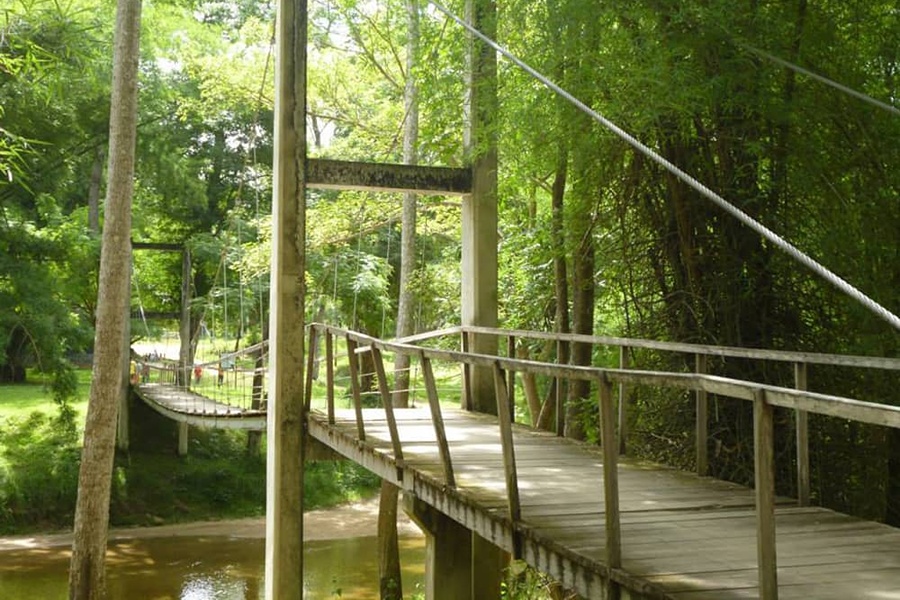 Huai Kha Khaeng protects one of Thailand’s richest and most important wildlife habitats.