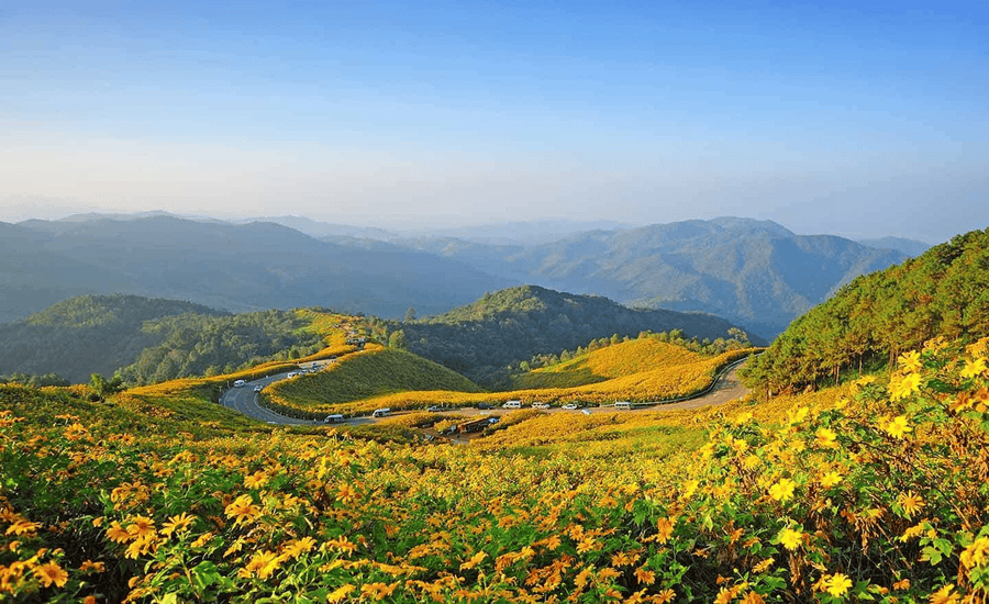 A scenic stretch of the Mae Hong Son Loop