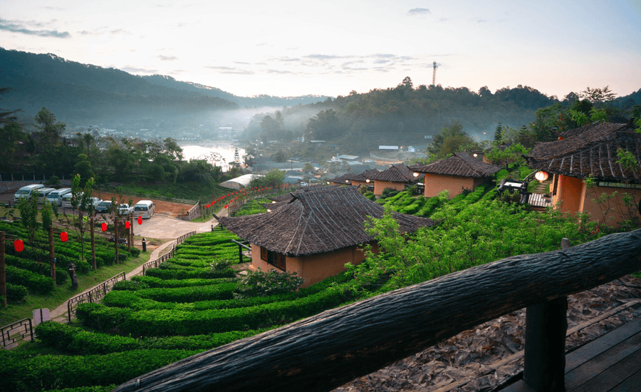 Tea plantations and calm scenery in Ban Rak Thai village