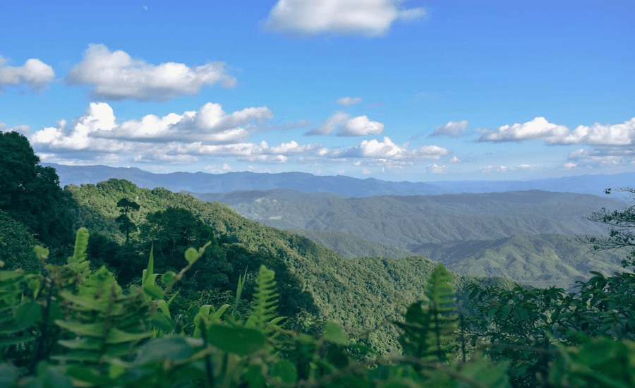Complex mountain ranges and clear sky on a sunny day in Doi Phu Kha, Nan