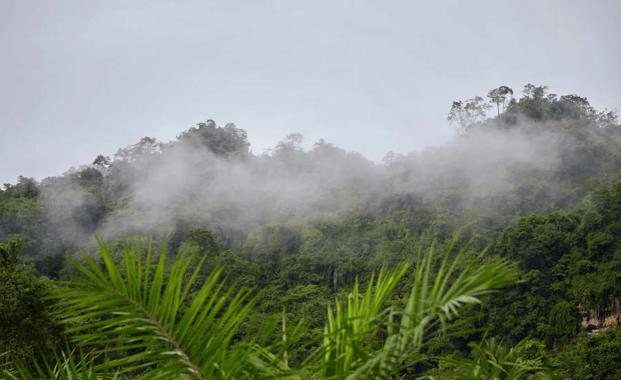 Monsoonal showers in the rainy season in Thailand
