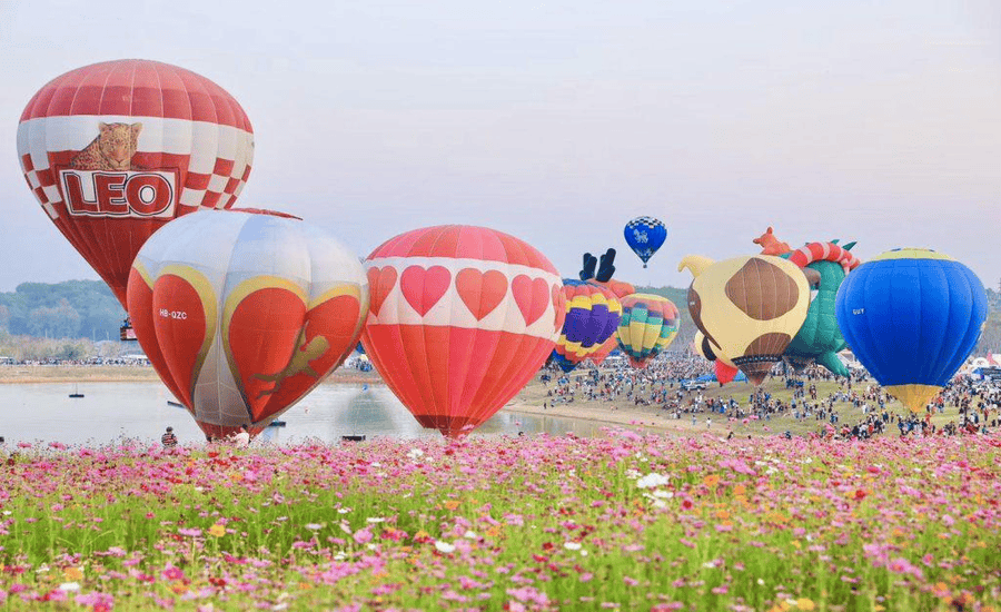 Balloon Fiesta 2024 in Singha Park, Chiang Rai