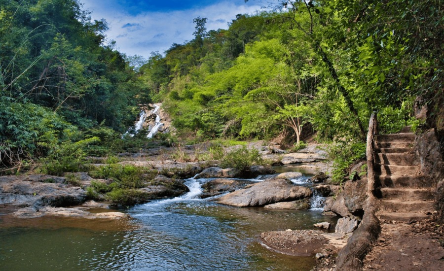 Hiking trail along a mountain stream in the tropical rainforest in Chiang Rai