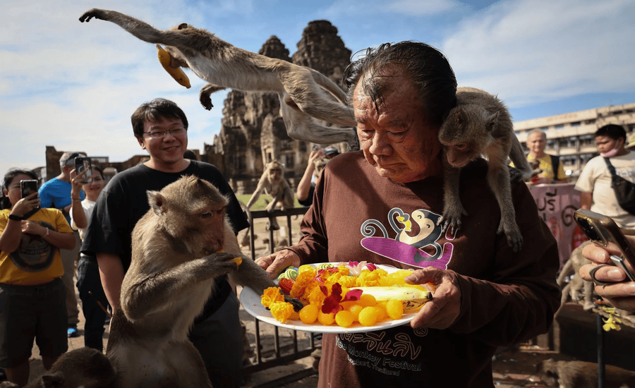 Lopburi is widely known as “the Monkey town”
