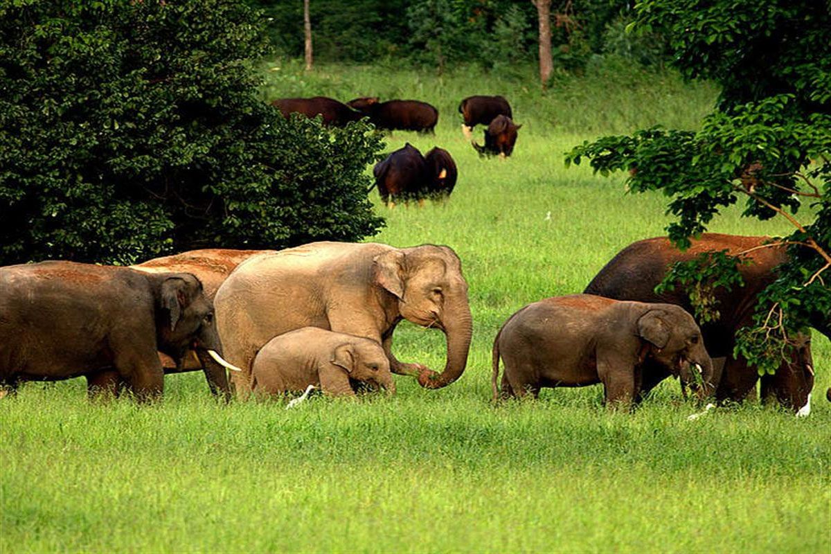 Top 10 vườn quốc gia đẹp, nổi tiếng nhất Thái Lan | Justfly.vn