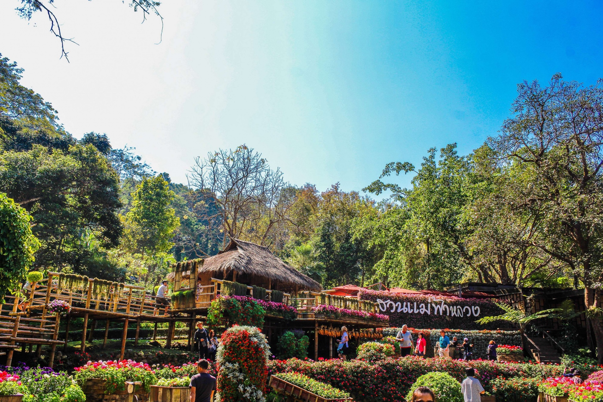 doi-tung-mae-fah-luang-garden-4