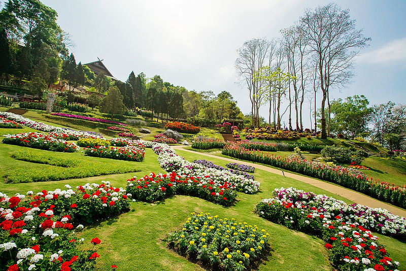 doi-tung-mae-fah-luang-garden-3