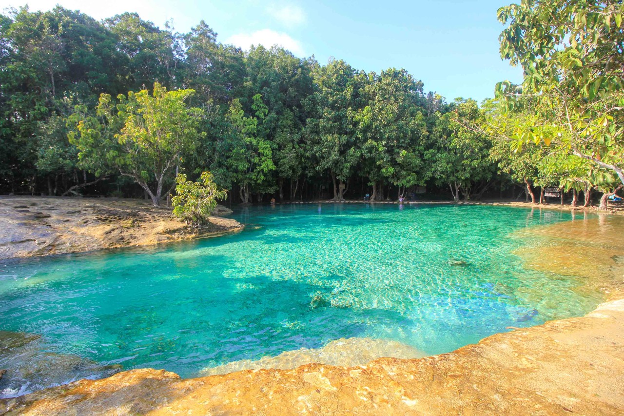 Emerald Pool Krabi Attractions