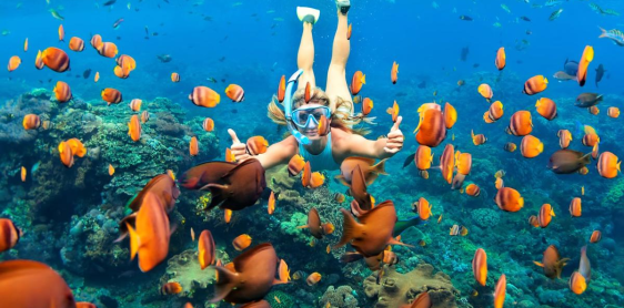 Day 13: Phuket - Coral island with sunset point trip by catamaran yacht (B, D) (join-in group)