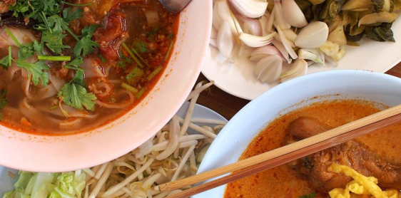 Day 15: Phuket – Khao Sok National Park – Night safari (B)