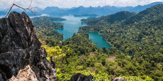 Day 16: Trekking in Khao Sok (join-in tour) (B, L)