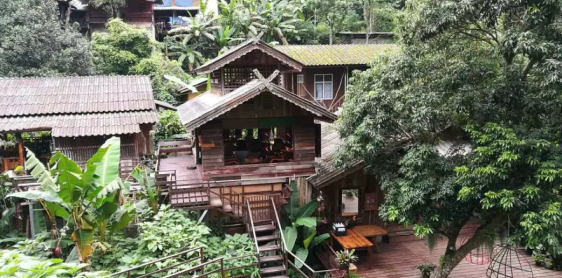 Day 15: Chiang Mai – Mae Kampong Village – Chiang Rai (B)