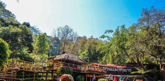 Day 2: Bangkok – Flight to Chiang Rai – Doi Tung – Mae Fah Luang Garden – Blue Temple (B)