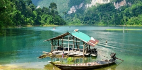 Day 11: Krabi – Koh Phi Phi  (B)