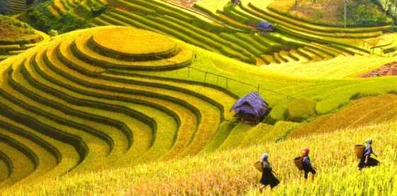 Day 22: Lao Chai/Ta Van Trekking Village (B)