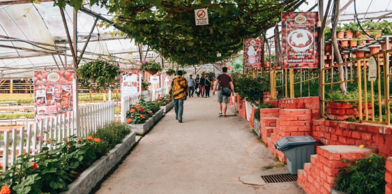 Day 9: Cameron Highlands – George Town (B)