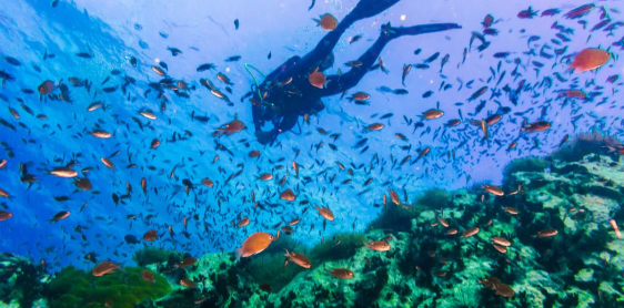 Day 17: Koh Tao Beach Free & easy (B)