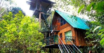 Khao Sok Tree house
