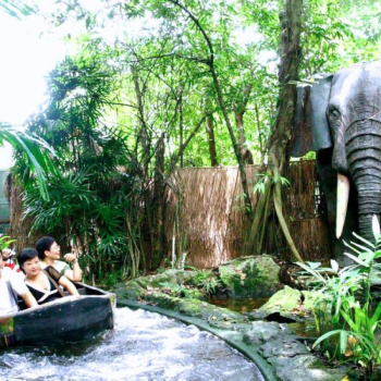 Bustling Coastal City Of Pattaya 9 Days 8 Nights