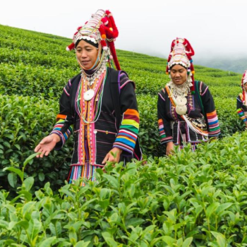 Enchanting Adventure through Thailand and Cambodia (20D19N)