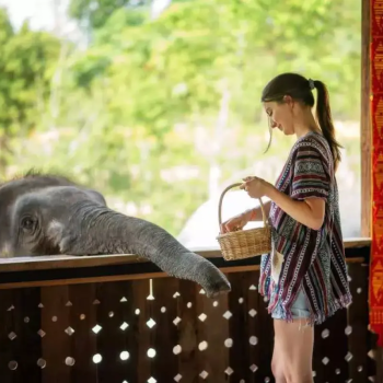 Enchanting Adventure through Thailand and Cambodia (20D19N)