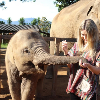Ancient Wonders in Thailand and Laos 15D14N