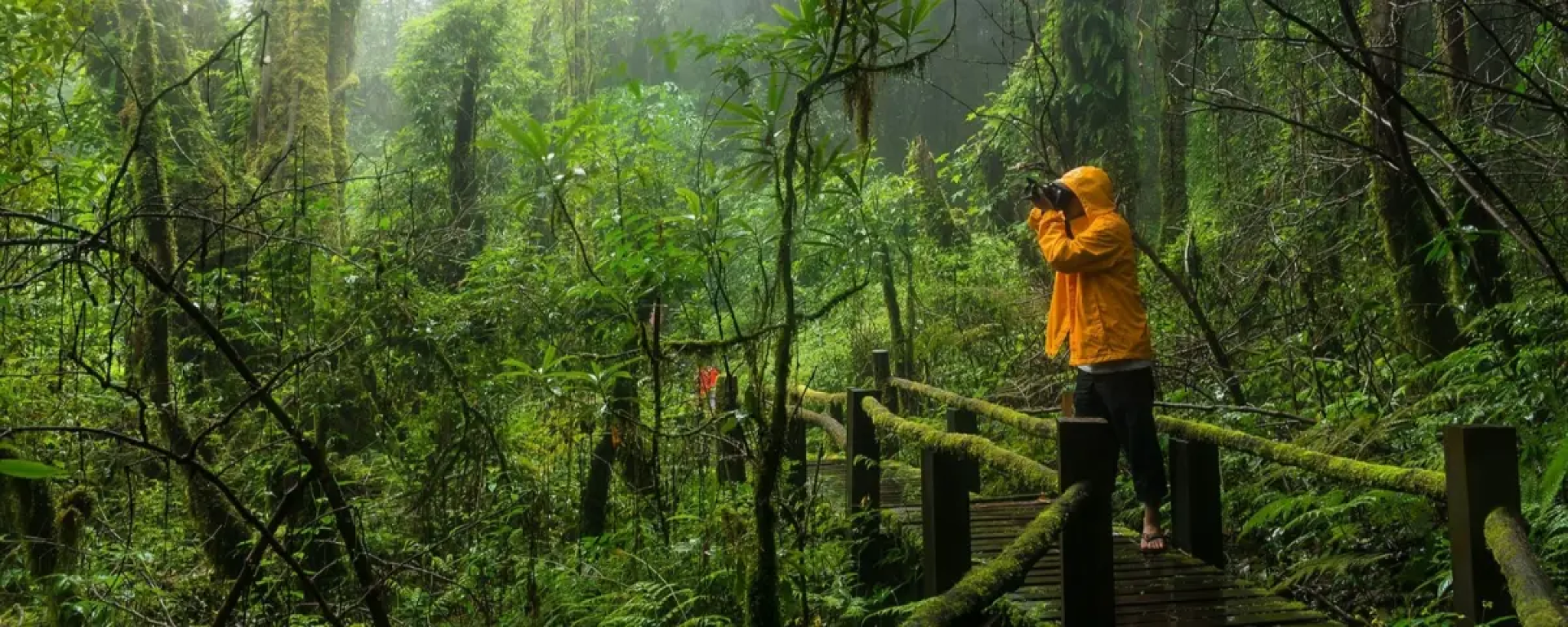 Theme - Off beaten track