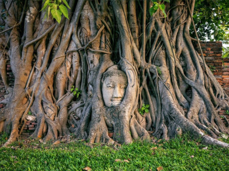 Top 5+ Most Stunning Buddha Statues in Thailand