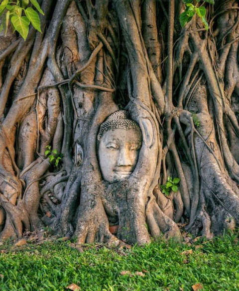 Top 08 Most Stunning Buddha Statues in Thailand