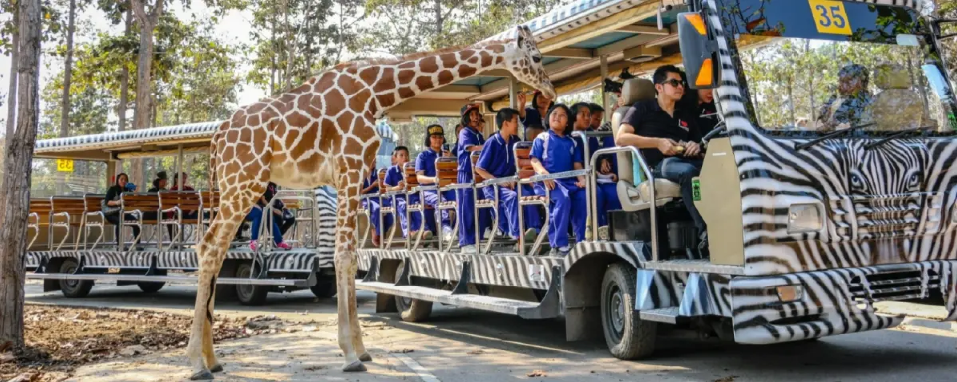 Chiang Mai Night Safari