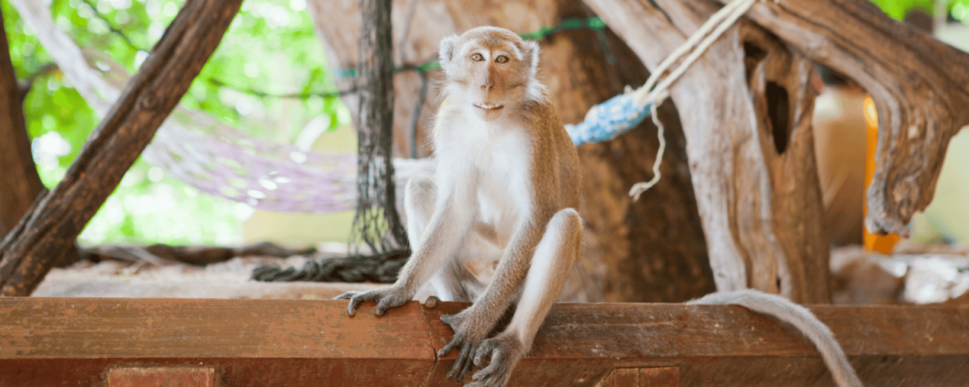 Monkey Mountain in Hua Hin province