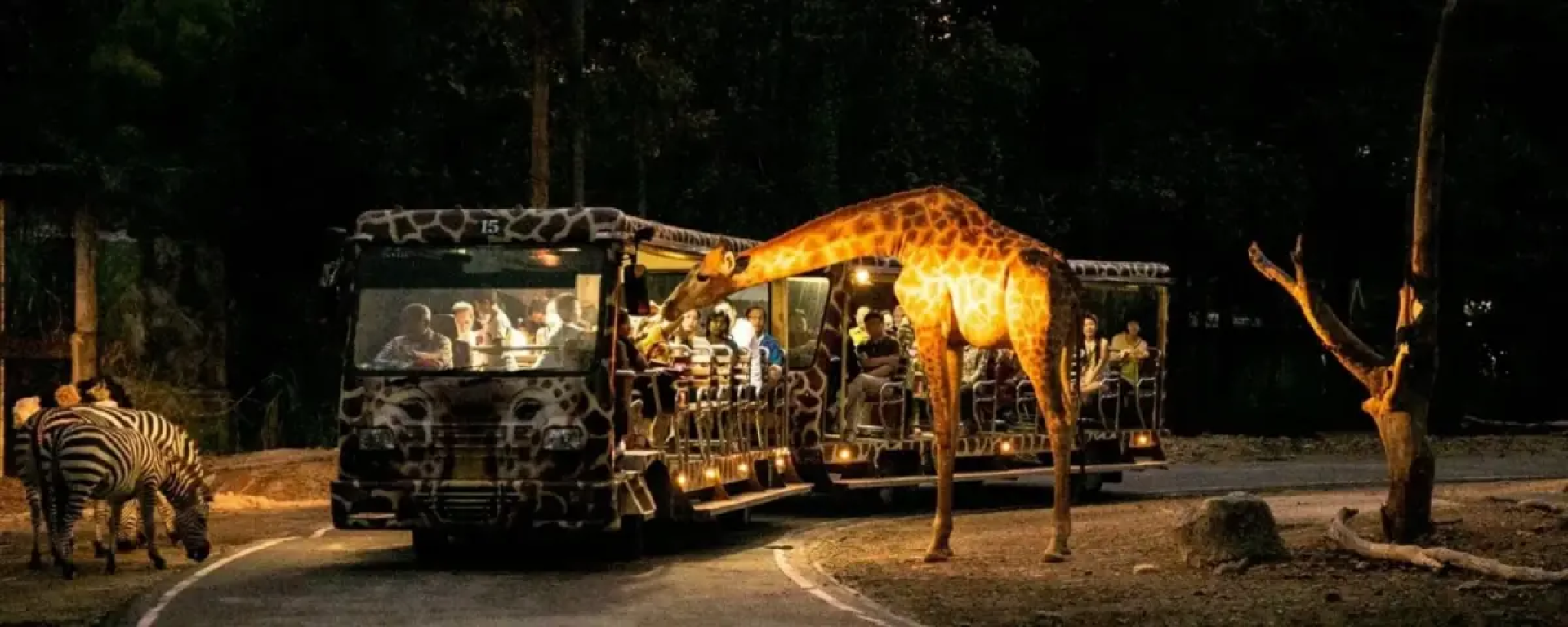 Chiang Mai Night Safari