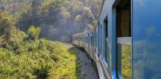 Day 5: Ayutthaya - city tour - night train to Chiang Mai (B) *no guide on board*