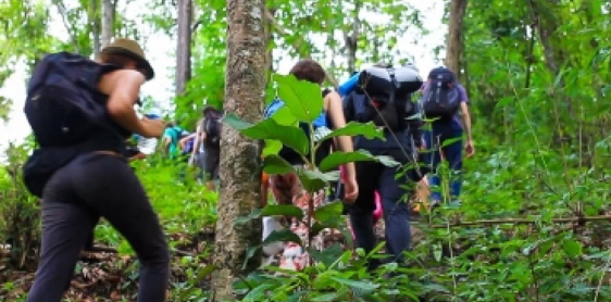 Day 7: Chiang Mai - Mae Sa Pok Hike - bamboo raft (B, L)