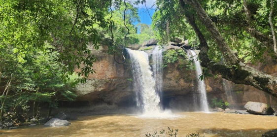 Day 1: Bangkok – Khao Yai National Park - Night Safari (-)
