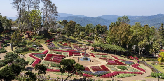 Day 6: Chiang Rai - Mae Salong - Doi Tung - Chiang Saen (B)