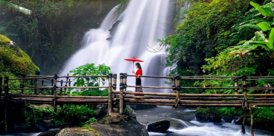Day 9: Doi Inthanon - Chiang Mai (B/L)