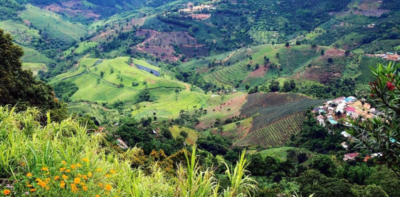 Day 7: Chiang Rai – Doi Mae Salong - Golden Triangle – Chiang Saen (B)