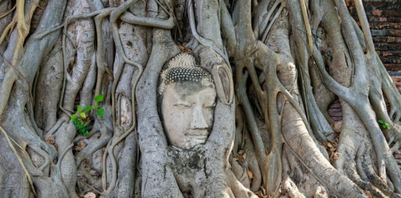 Day 6: Ayutthaya Historical Park – Shared cruise back to Bangkok (B/L)