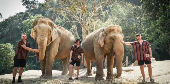 Day 7: Chiang Mai – Elephant Jungle Sanctuary (B/L) Join in
