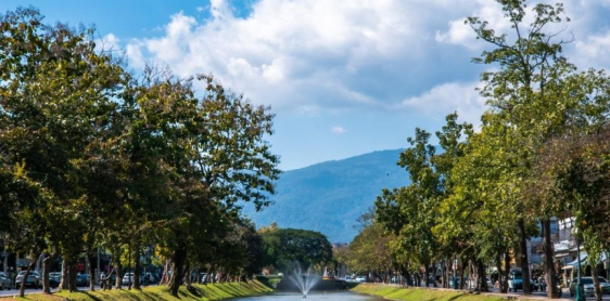 Day 8: Chiang Mai Full Day City Tour (B)