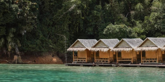 Day 11: Khao Sok – Surat Thani – Koh Samui (B) No guide