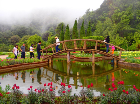 Doi Inthanon National Park 1 Day