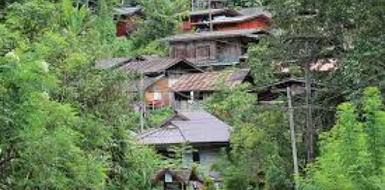 Day 8: Chiang Mai - Mae Kampong homestay (B, L, D)