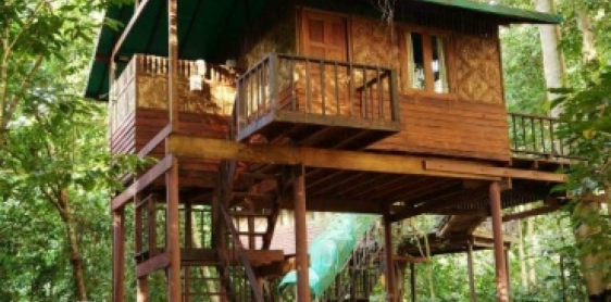 Day 11: Golden Triangle - Chiang Mai - Flight to Surat Thani - Khao Sok (B) No guide in Surat Thani & Khaosok