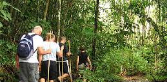 Day 13: Khao Sok National Park – Join Rainforest Hiking – Join Canoe (B,L) with English speaking guide only/join-in (Half day trekking in the morning– join-in tour with shared tranfer)