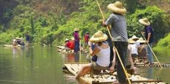 Day 11: Chiang Mai – Elephant Jungle Sanctuary (B/L) Join-in tour, SIC