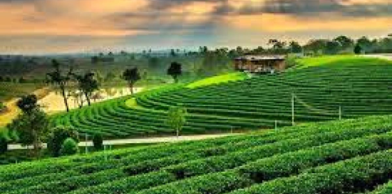 Day 2: Waterfall - Village explore (B/L/D)