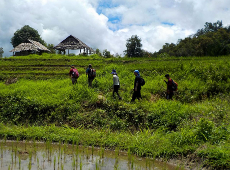 Northern Thailand Trekking & Mae Taeng Elephant Camp 4 Days 3 Nights