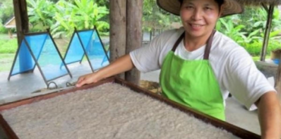 Day 4: Lahu hilltribe village – Bamboo raft – Shan village – Chiang Mai (B, L)